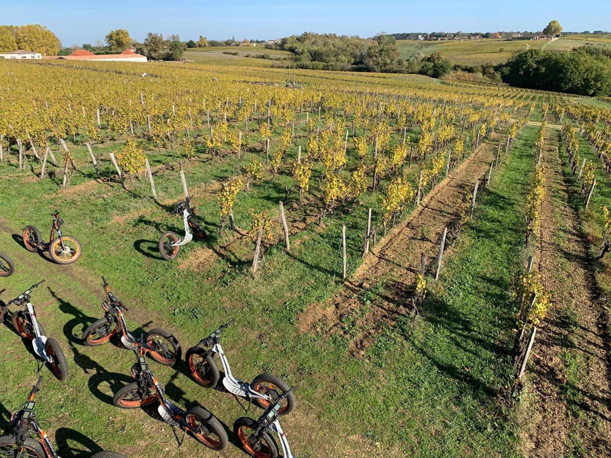 Maison 15 Sauternes Εξωτερικό φωτογραφία